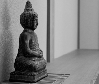 sensaioase-0030-2web