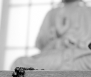 sensaioase-0036-2web