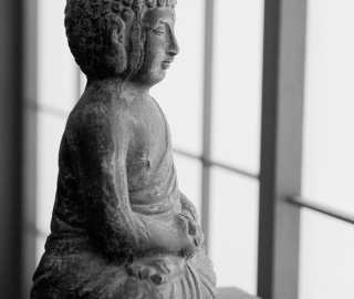 sensaioase-0074-2web